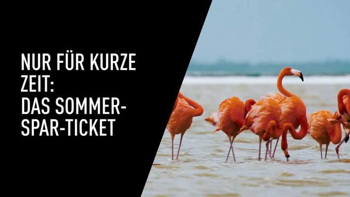 CinemaxX Sommer-Spar-Ticket